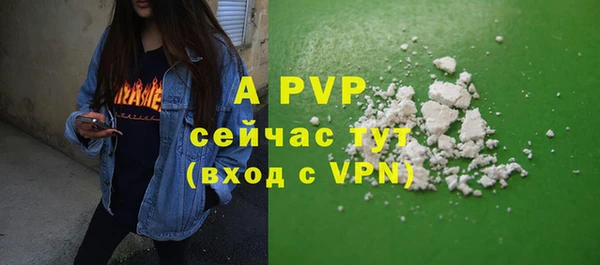 прущая мука Ельня
