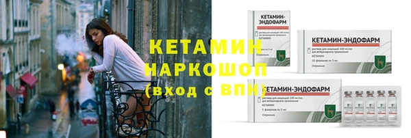 ALPHA PVP Елизово