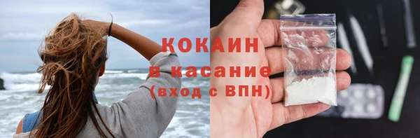 прущая мука Ельня