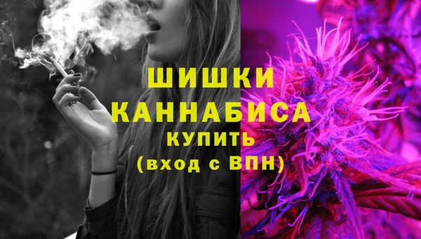 прущая мука Ельня