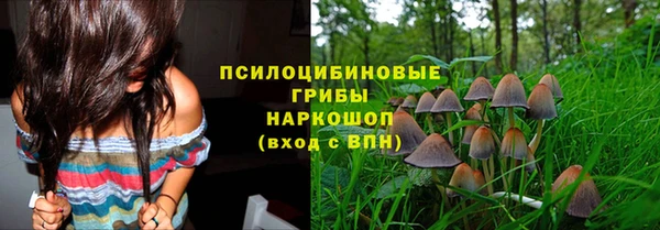 ALPHA PVP Елизово
