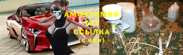 прущая мука Ельня
